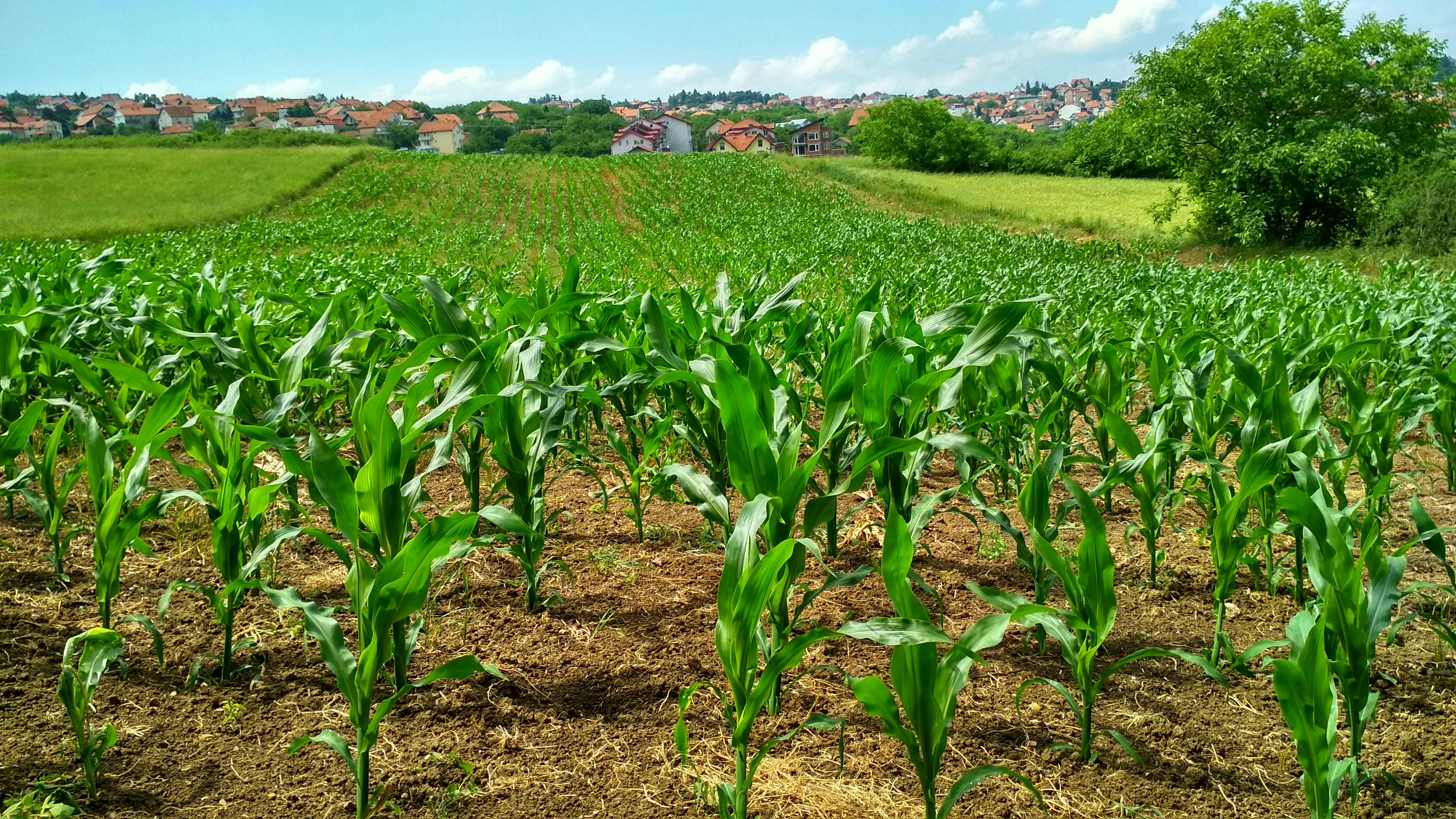 Farm Operations